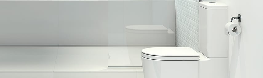 Toilet repair and replacement